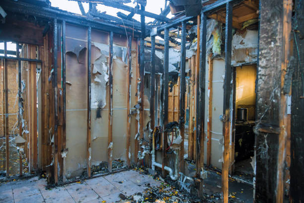 Professional Fire Damage Removal technician working in Seven Points, TX